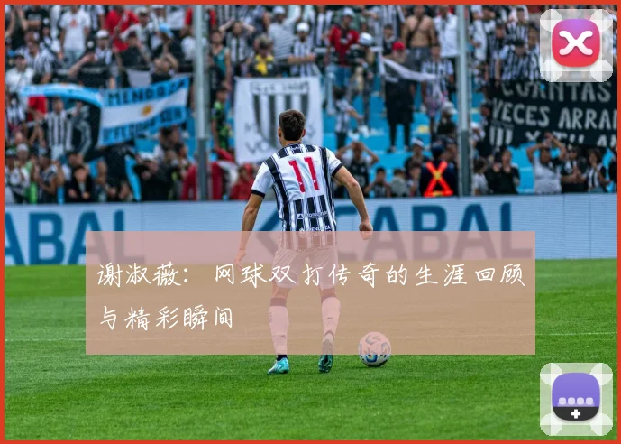 谢淑薇:网球双打传奇的生涯回顾与精彩瞬间