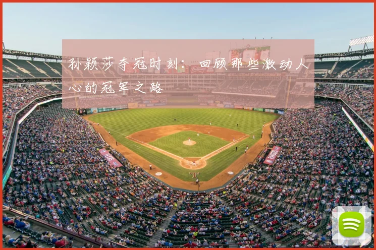 孙颖莎夺冠时刻:回顾那些激动人心的冠军之路
