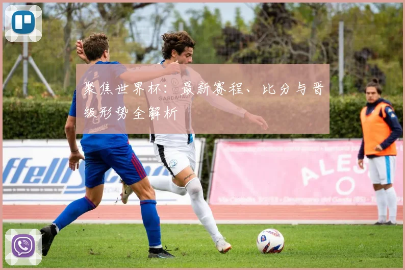 聚焦世界杯：最新赛程、比分与晋级形势全解析