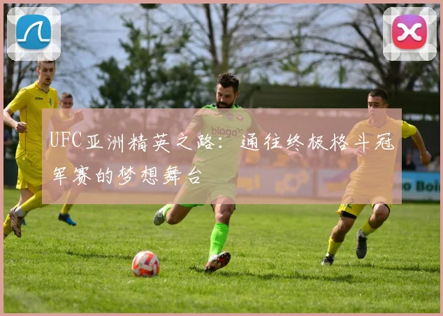 UFC亚洲精英之路：通往终极格斗冠军赛的梦想舞台