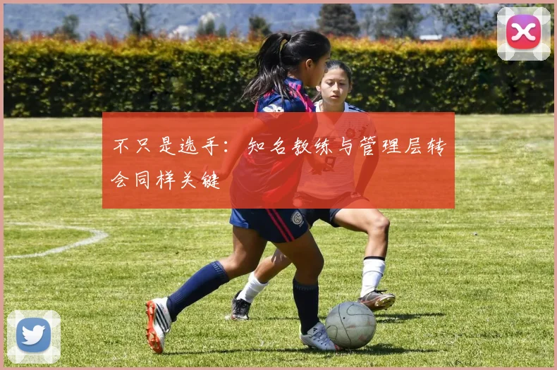 不只是选手：知名教练与管理层转会同样关键