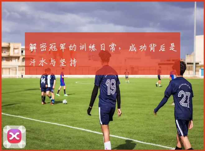 解密冠军的训练日常，成功背后是汗水与坚持