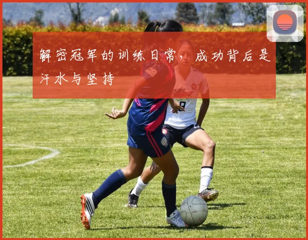 解密冠军的训练日常，成功背后是汗水与坚持